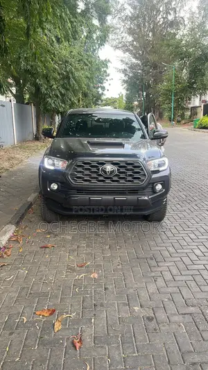 Toyota Tacoma Limited 2022 Gray