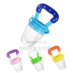 Baby Fruit Feeder Pacifier