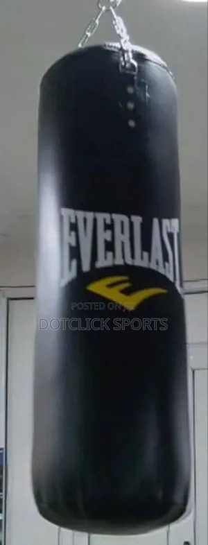 Everlast Boxing Bags