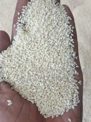 Sesame Seeds