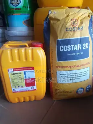 Costar Cementitions Waterproof Coating Membrane