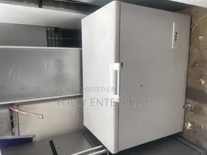 320litres Bosch Deep Freezer for Home and Commercial Use