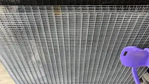 Galvanized Welded Mesh