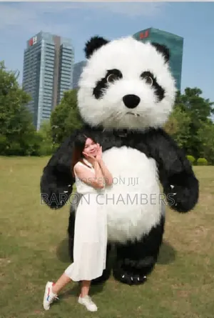 Bear Custom