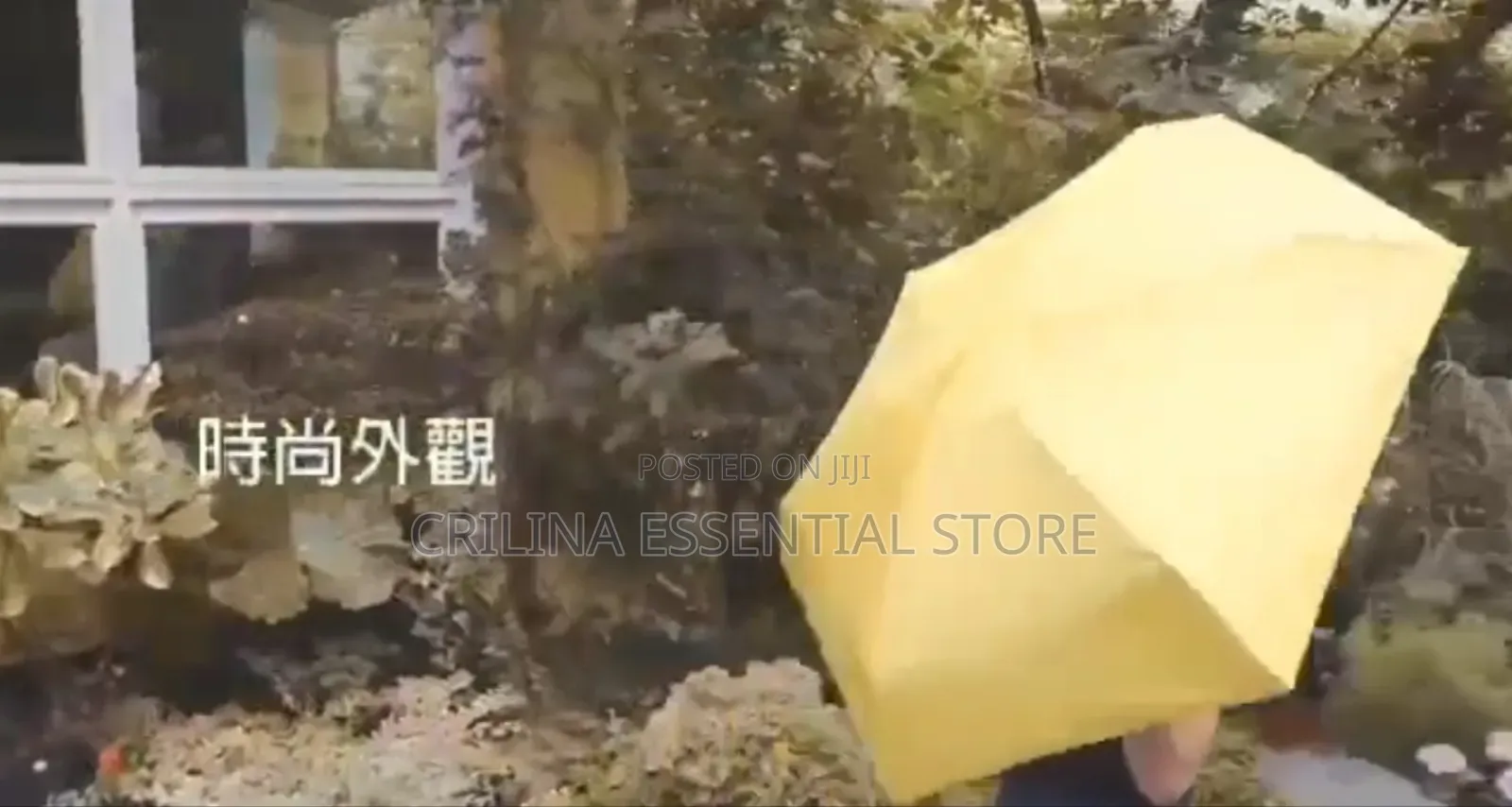 Capsule Mini Umbrella