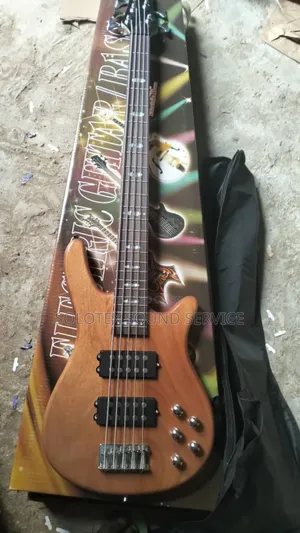 Quality Gipson 5 Strings Bass Guitar