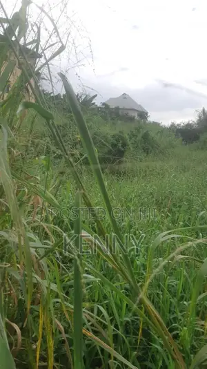 Full Plot of Land With Foundation at Ojodu Abiodun