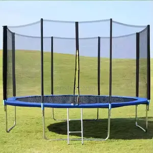10ft Trampoline With Climber