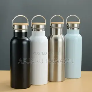 Stainless Steel Vacuum Water Bottle With Handle