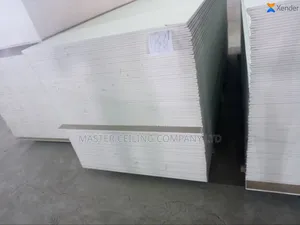 Suspended Ceiling, Plaster Board and Accessories, Black Line Grids .
