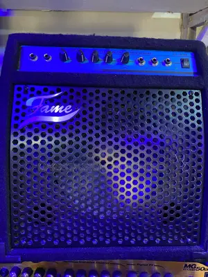Fame Sl-30b Bass Amplifier