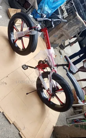 Foldable Big Tyre Bike