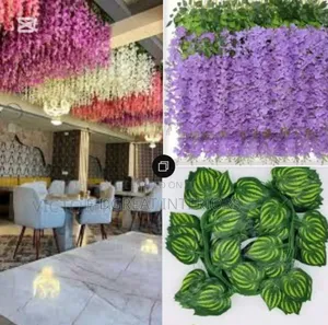 Carpet Grass, Wisteria Flowers, Dropping Flowers