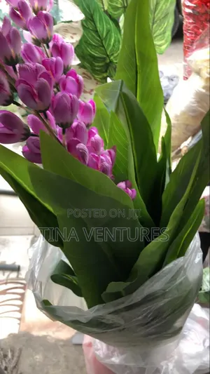 ‎Artificial Flower and Pot Set ( Fine Quality)