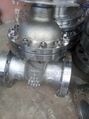 Gate Valve Stainless 316 Oil Fields Maintenance