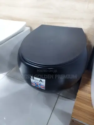 Round Wall Hung Wc Black