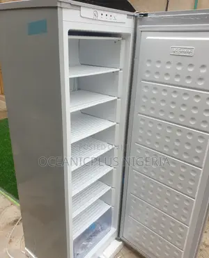 Compact Haier Thermocool 235 L Upright Inverter Freezer Hf-250bs