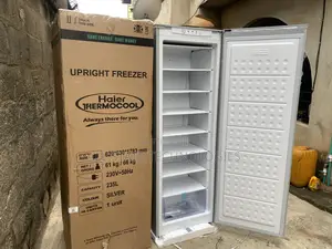 Haier Thermocool Silver Hf-250bs 235l Upright Freezer - Power Cooling