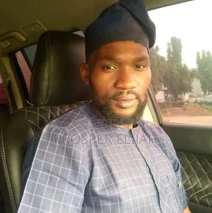 In Search of Driving Job