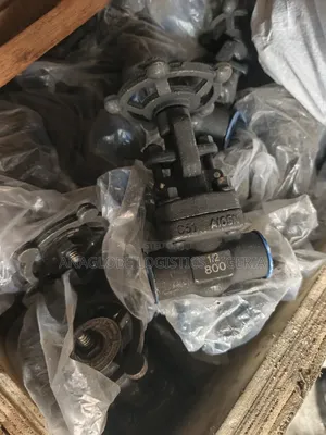Globe Valve 1/2" 800 Socket Weld