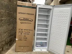Get Haier Thermocool 235l Upright Freezer Hf-250bs Silver Today!