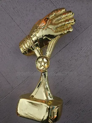 Goal Keeper Hand Gloves Award