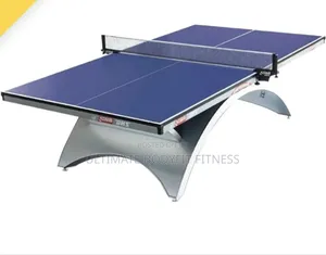 Brand New DHS Indoor Blue With Silver Base Premium Table Tennis Board