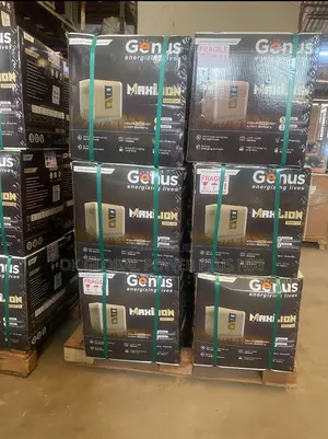 Genus Maxi Li-Ion1000va All in-One Inverter