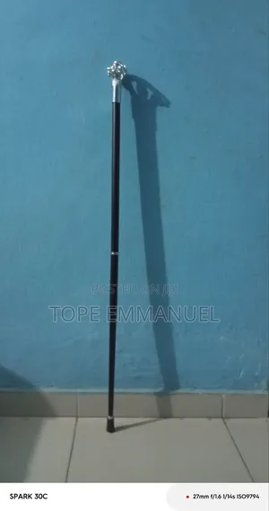 Royal Crown Walking Stick Silver
 