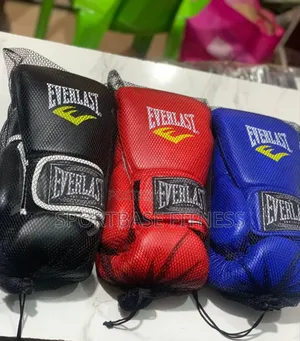 Everlast Boxing Gloves