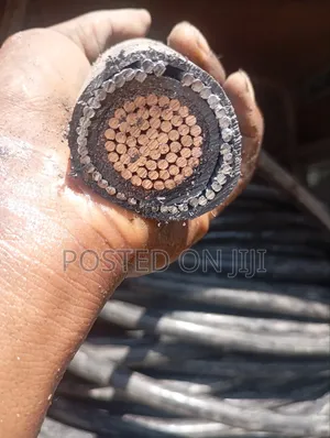 500mm*1core Nigerchin High Quality Electric Armoured Cable