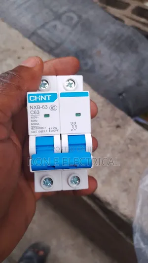 63amps 2pole MCB Original Chint Breaker