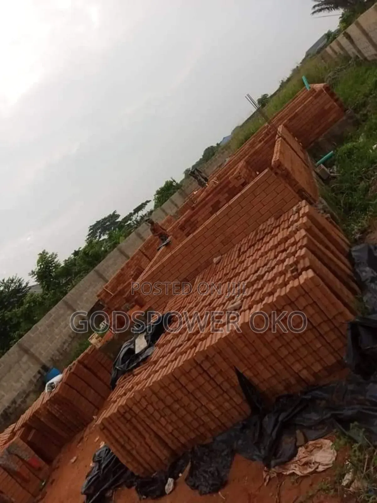 Laterite Interlocking Bricks