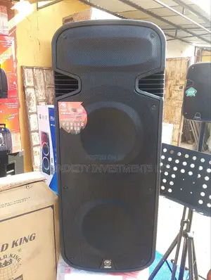 Worldking 15000w Heavy Duty Public Addressing System.