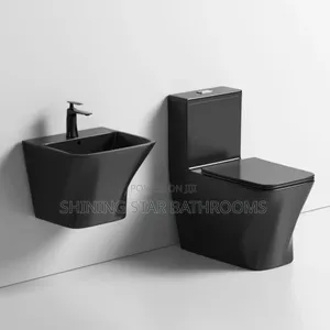 Luxury Black Toilet Set With Wall Hung Basin