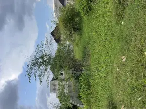 A Complete Half Plot of Land in a Serene Estate