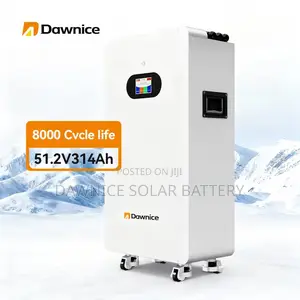 Dawnice New 51.2v 300ah Wall Solar System Lifepo4 Energy