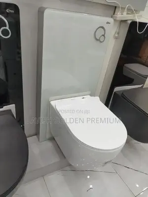 Concealed Wc White With Surface Tank