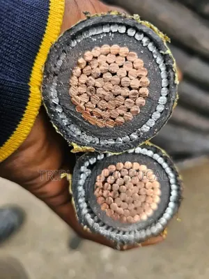 500mm1c Armored Cable Coleman