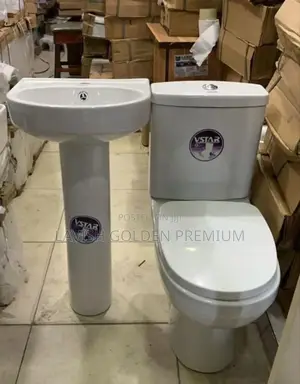 Vstar Toilet Seat With Basin and Pedestria