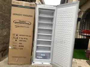 Haier Thermocool 235l Upright Freezer Hf-250bs Silver (Fast Freezing)