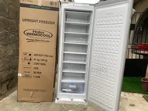 Haier Thermocool Hf-250bs 235l : Effortless Upright Inverter Cooling