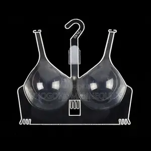 Pants and Bra Plastic Display Hanger Per Pack of 5