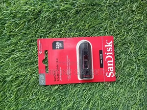 Sandisk 3.0 Flash Drive 256gb