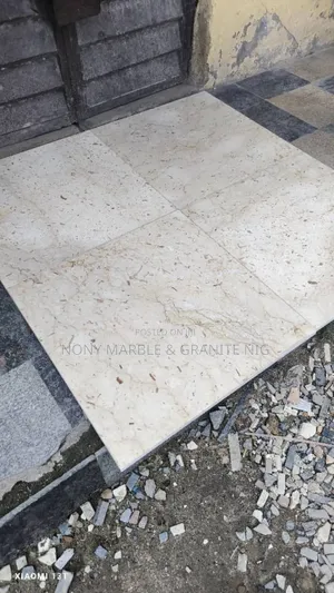 Italian Palato 60×60