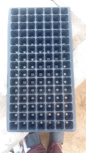 Seedlings Tray