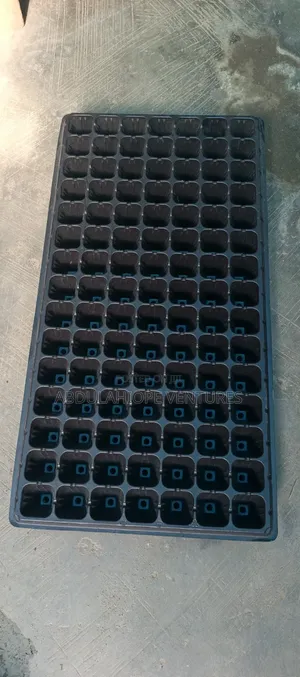 Seedlings Tray