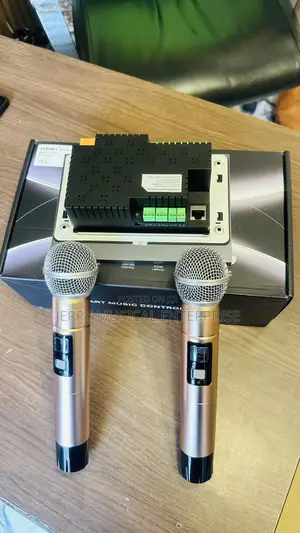 Smart Voice Command In Wall Amplifier For Ceiling Speaker Microphones