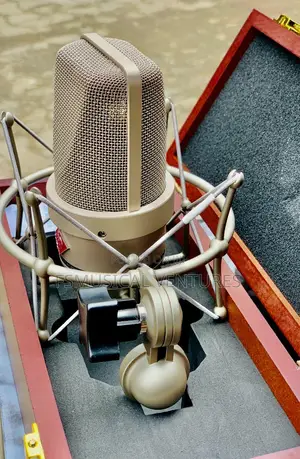 Neumann TLM 103 Large-Diaphragm Condenser Microphone