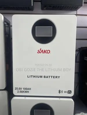 Best Sako Battery Importer in Lagos. 2.56kwh Lithium Battery
